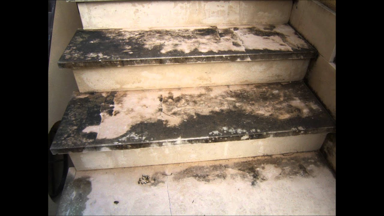 Pulizia e sanificazione da muffe su pietra calcarea grezza per ... Prodotti pulizia marmo