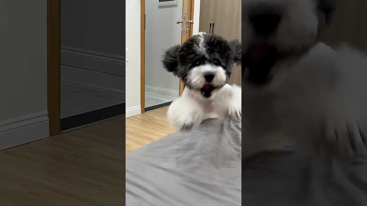 Don't eat snacks alone 😨 