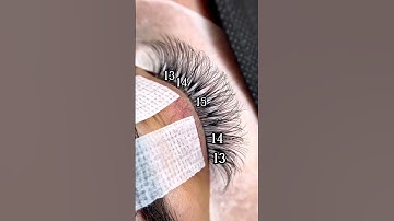Lash Map #eyelashextensions #lashextensions #lashes #lashtech #lashartist #shorts #fyp #fypシ゚viral