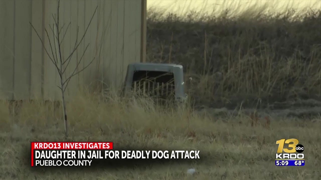 Arrest records reveal new details in Pueblo County dog attack death ...