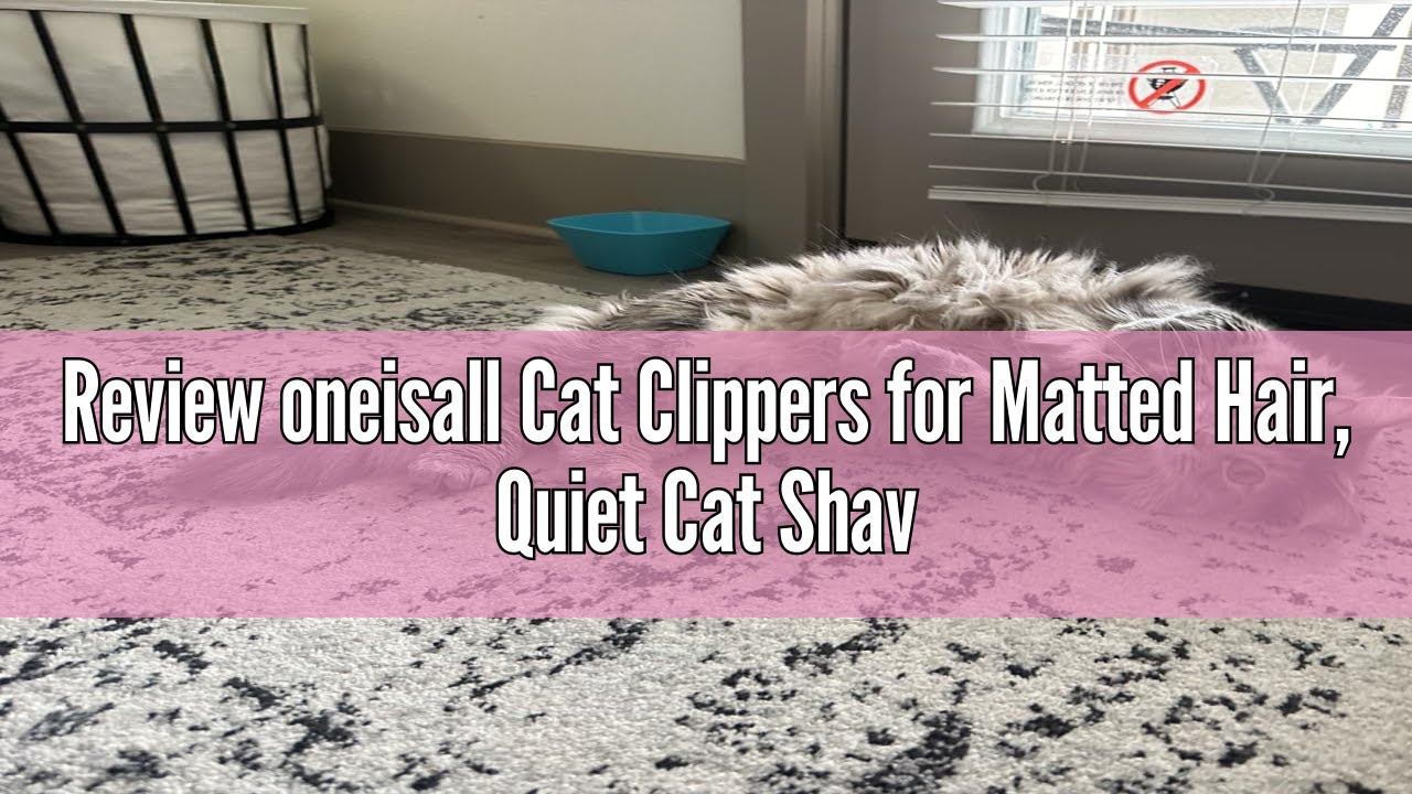 Review oneisall Cat Clippers for Matted Hair, Quiet Cat Shaver for Long Hair, Cordless Cat Hair