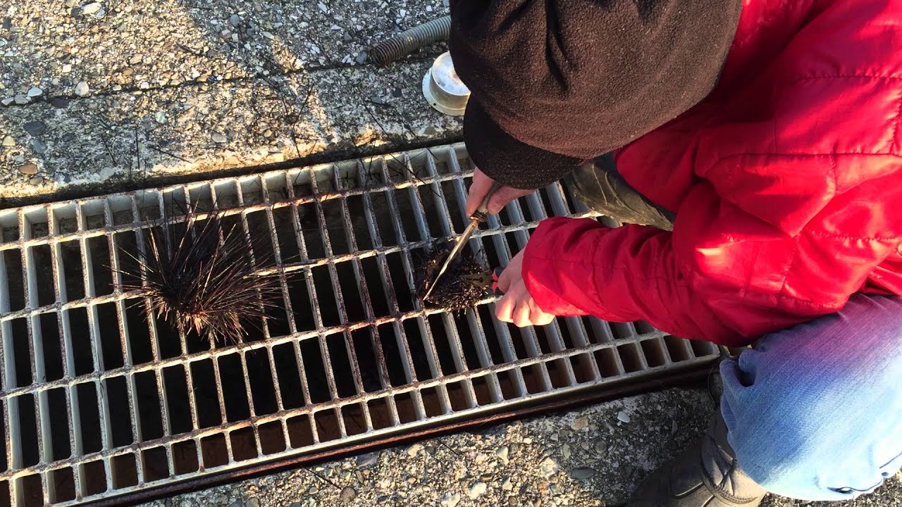 Former une cuvette et la remplir d'eau