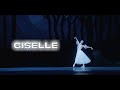 Giselle  ballet in cinema  january 21  starring jacopo tissi