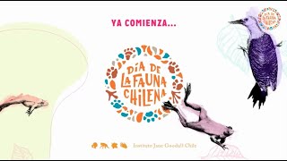 #HumeLab en el Día de la Fauna Chilena (domingo 11 de octubre) #DíaDeLaFaunaCL screenshot 3