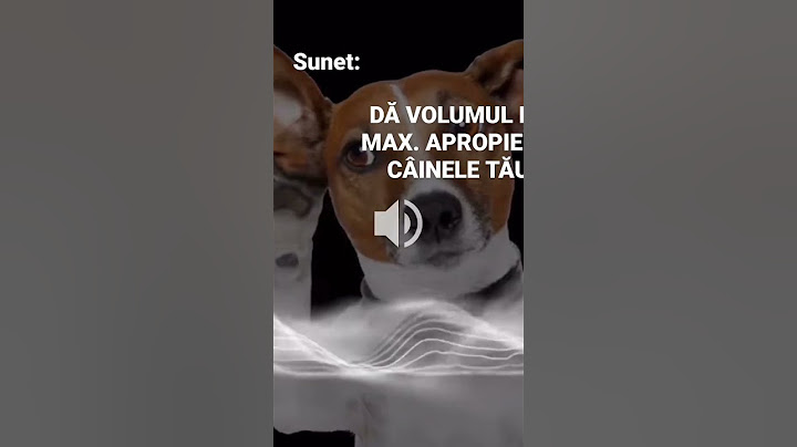 SUNET PE CARE ÎL POT AUZI DOAR CÂINII