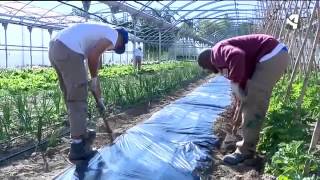 Título de agricultor ecológico