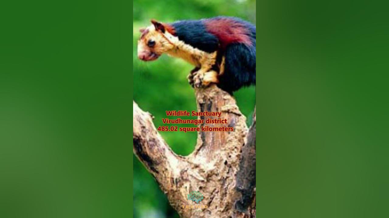 top-10-largest-forest-in-tamilnadu-youtube