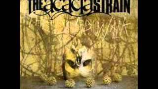 Watch Acacia Strain The Combine video