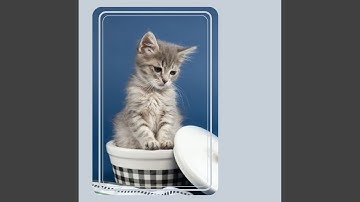 Sprightly Jazz Trio - Vibe for Mysterious Kittens