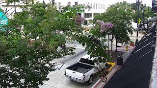 LIVE Downtown DeLand | South Woodland Blvd | 2026-08-10 6 PM ET