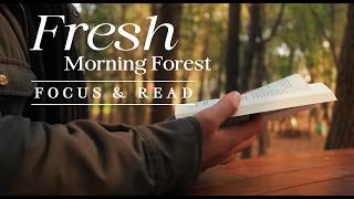 🌿 Start Your Day Productive | Gentle Morning Forest Ambience & Soft Music for Reading & Focus screenshot 3