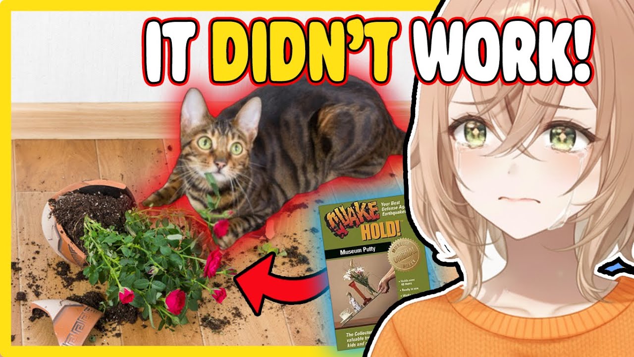 Anti-Cat Product Vs. Cat