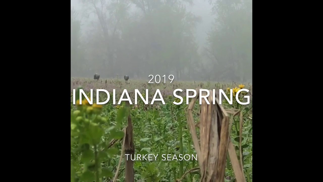 2019 Indiana Turkey Season