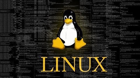 2- Como Usar la consola Linux (Trabajando con archivos - Nano - Vim)