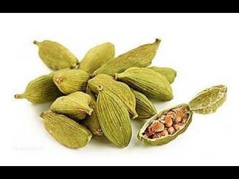 Video: Bergamot Nima?