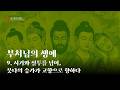 [부처님의 생애] 시기와 질투를 넘어, 붓다의 승가가 고향으로 향하다