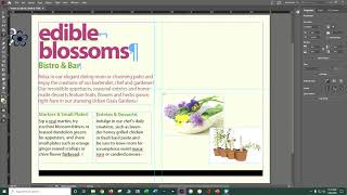 IN CC 2020 CIAB CH 2 Getting To Know InDesign Danielle Oser Source