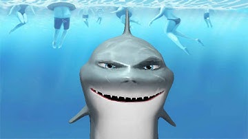 Logitech HD Video Effects