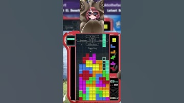 Spins, Squeaks, and Clears! #tetris99 #tetris #vtuber #satisfying #raccoon #xenoblade #nintendo