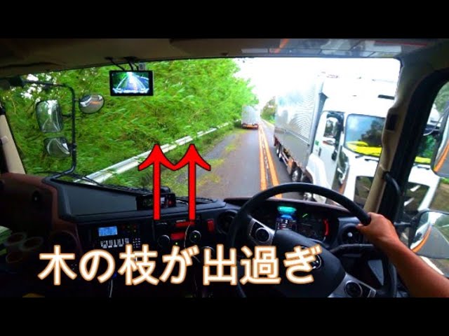 Tree branch blocking track way. Truck driving POV - YouTube