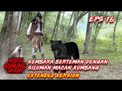 Wuihhh Hebat! Akhirnya Sembara Dan Macan Kumbang Ini Berteman Part 2 - Misteri Gunung Merapi Eps 16