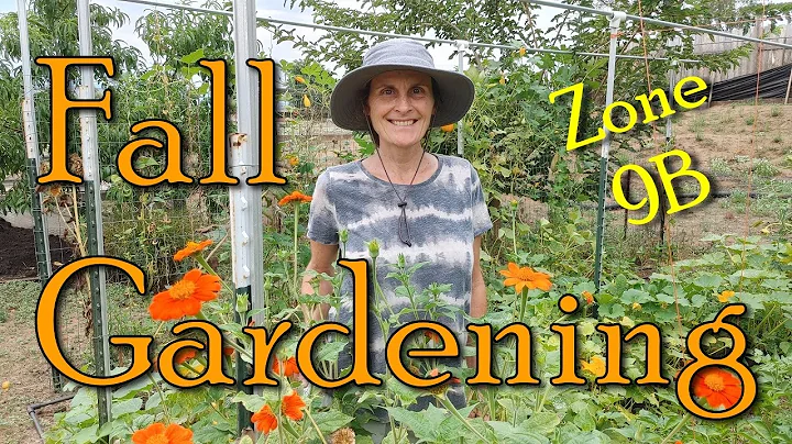 Fall Gardening in Zone 9B