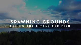 Spawning Grounds Official Trailer