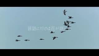 死んでしまったのだろうか ／ 歌ってみた。 ver.suiga