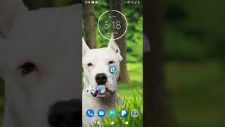 Togglable Flashlight| Automate screenshot 5