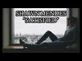 Shawn mendes  satisfied lyrics