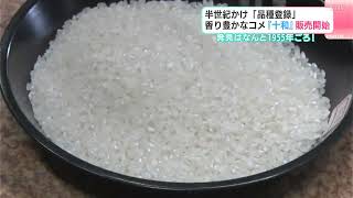 Discovered in 1955! A mutation of this rice variety took half a