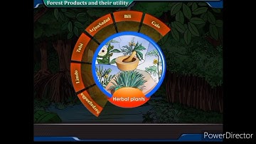 Class 9 Social Science Chapter 17 Natural Vegetation