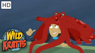 Wild Kratts | Octopus Wildkratticus | Full Episode | Season 1