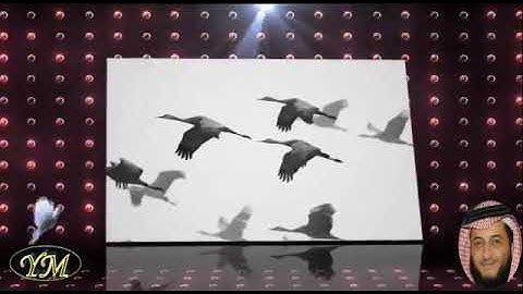 69 سورة الحاقة كاملة للقارئ الشيخ هاني الرفاعي