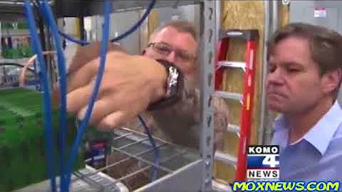 來看看全美國最大的比特幣挖礦廠