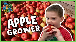 Yummy Apple Song | Job Jams | Kids Visit Apple Orchard