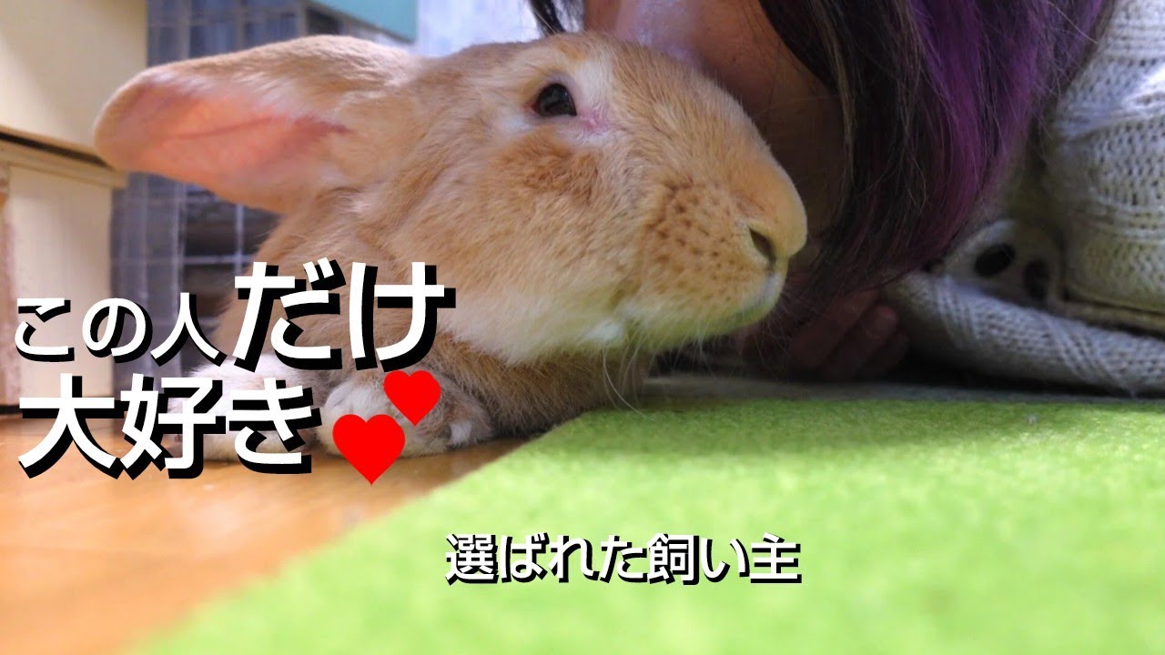 To the chosen one] 11 moments when Usagi decides 