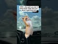 Gotta ride the line #funny #funnymoments #relatablecontent #contentcreators #funnyfails #relatable