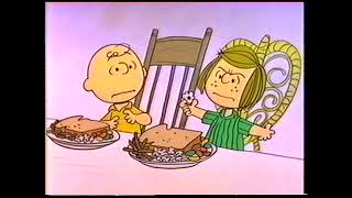 Its Martin Luther King Day Charlie Brown