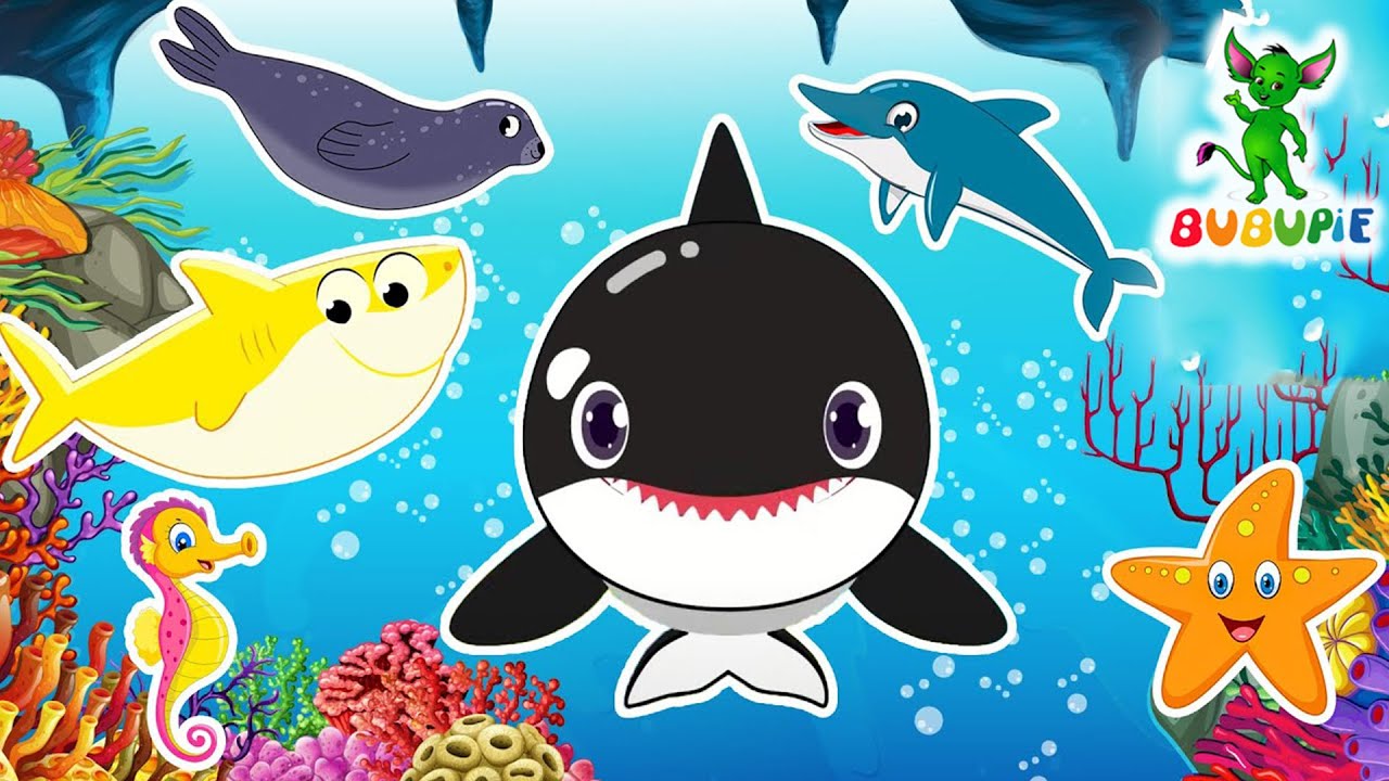 Save Marine Life   Learn About Sea Animals  Marine Animals Kids Song  BUBUPiE