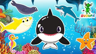 Save Marine Life - Learn About Sea Animals | Marine Animals Kids Song | BUBUPiE