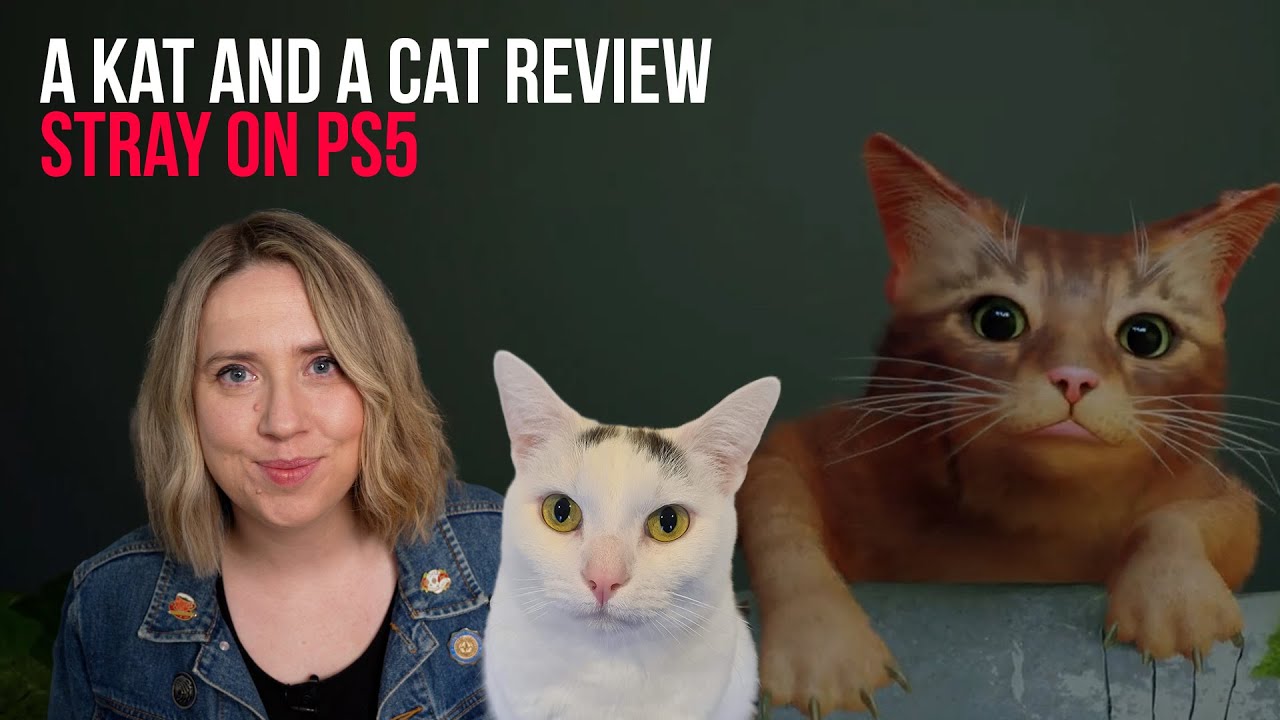 Stray Review: The Cat Game That Everyone Wants to Take Home PS5 - KeenGamer