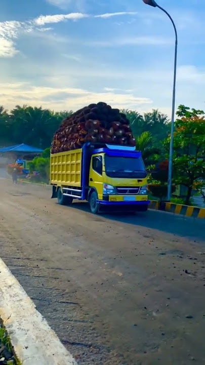 story'wa truk sawit#sawitkalimantan #youtubeshorts #shortvideo