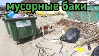 По помойкам Краснодарского края ) находки в мусорных баках )