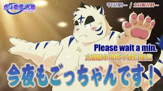 今夜もごっちゃんです！太助の本場所中連日配信【十一月場所三日目】