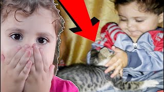 شوفو اخي شو عمل بل قطة شترينا قطة صغيرة قطط اطفال  Baby cats قطة صغيرة   صوت قطط  كيف تربي قطة صغيرة