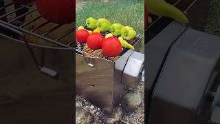 Grilling Chicken with Roto-Q 360: No Electricity, Ultimate Conveniencechickengrillcookingmachine