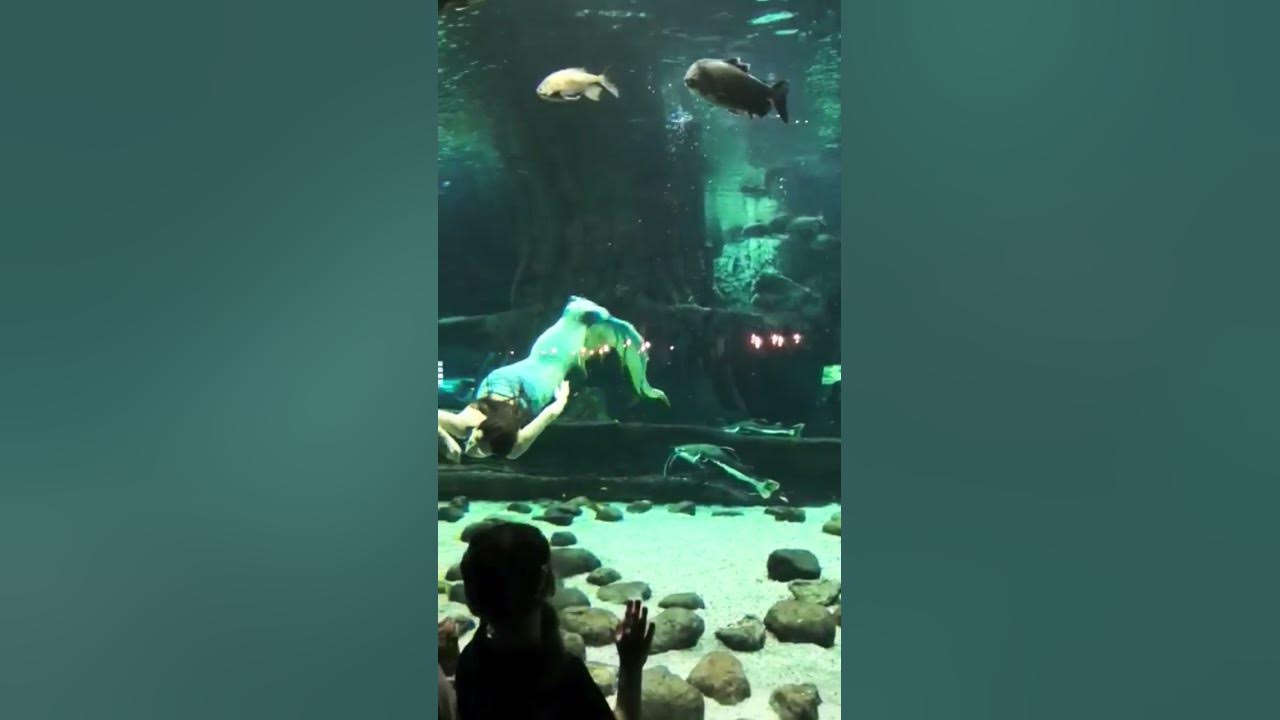 #Русалка#Рыбки - YouTube