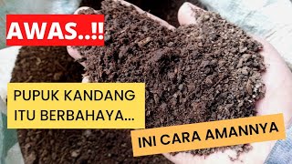 How to apply manure | Dangers of manure | Beginner farmers
