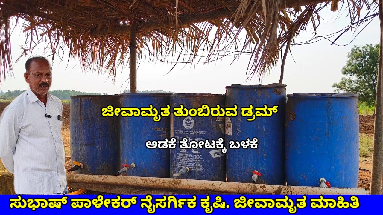 ಸುಭಾಷ್ ಪಾಳೇಕರ್ ನೈಸರ್ಗಿಕ ಕೃಷಿ.ZBNF Natural farming.ಜೀವಾಮೃತ ಬಳಕೆ & ಮಹತ್ವ.Jeevamrutha naisargika krushi